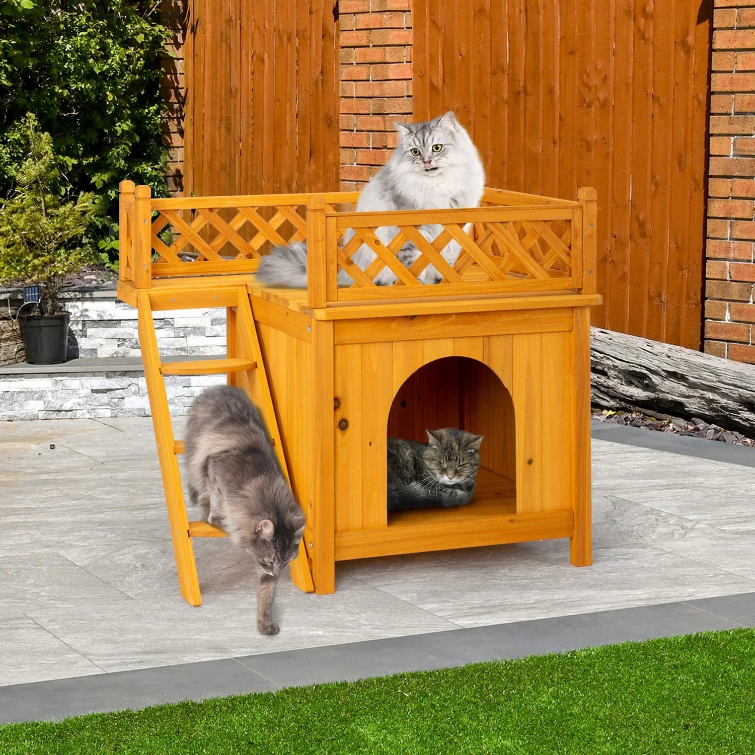 Cat Houses
