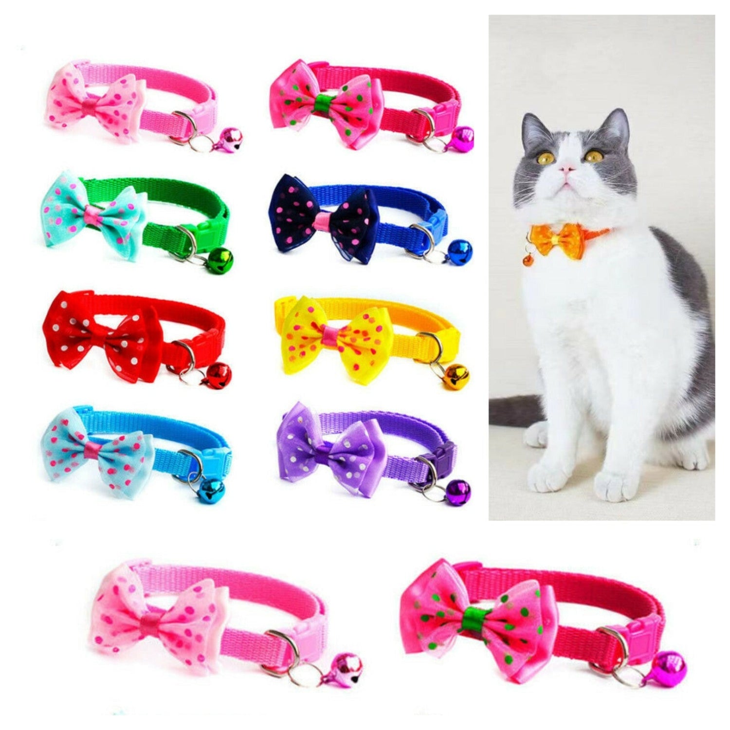 Cat Collars