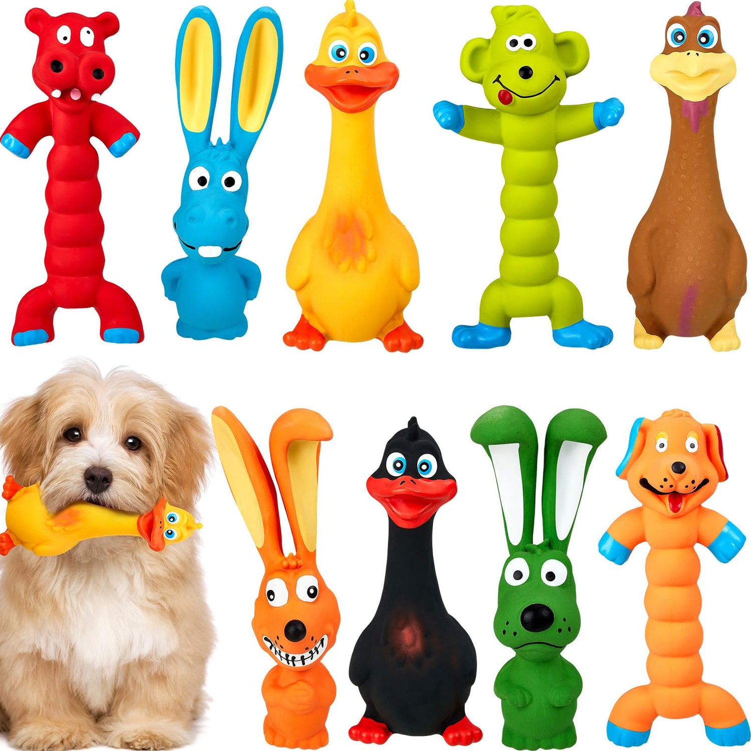 Dog Toys