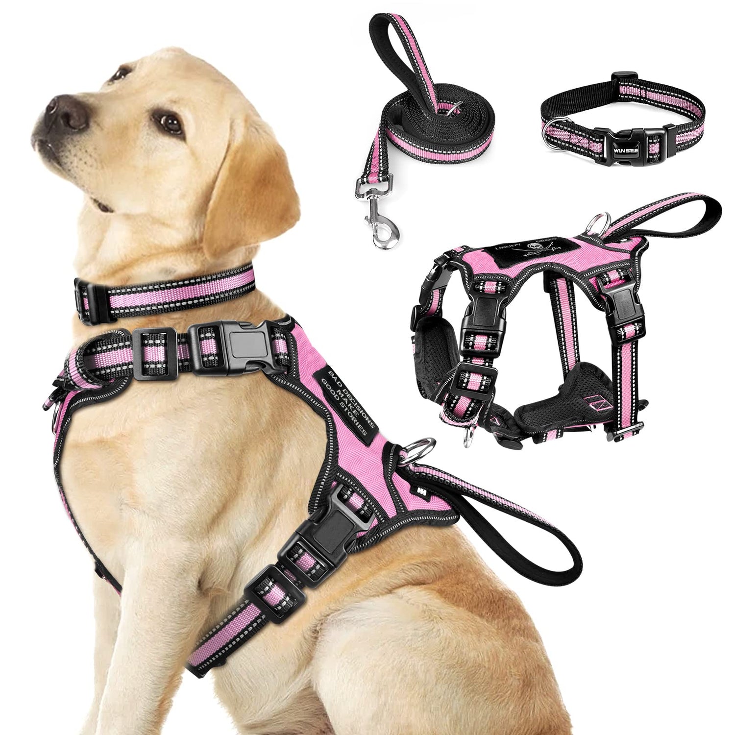 Dog Harness