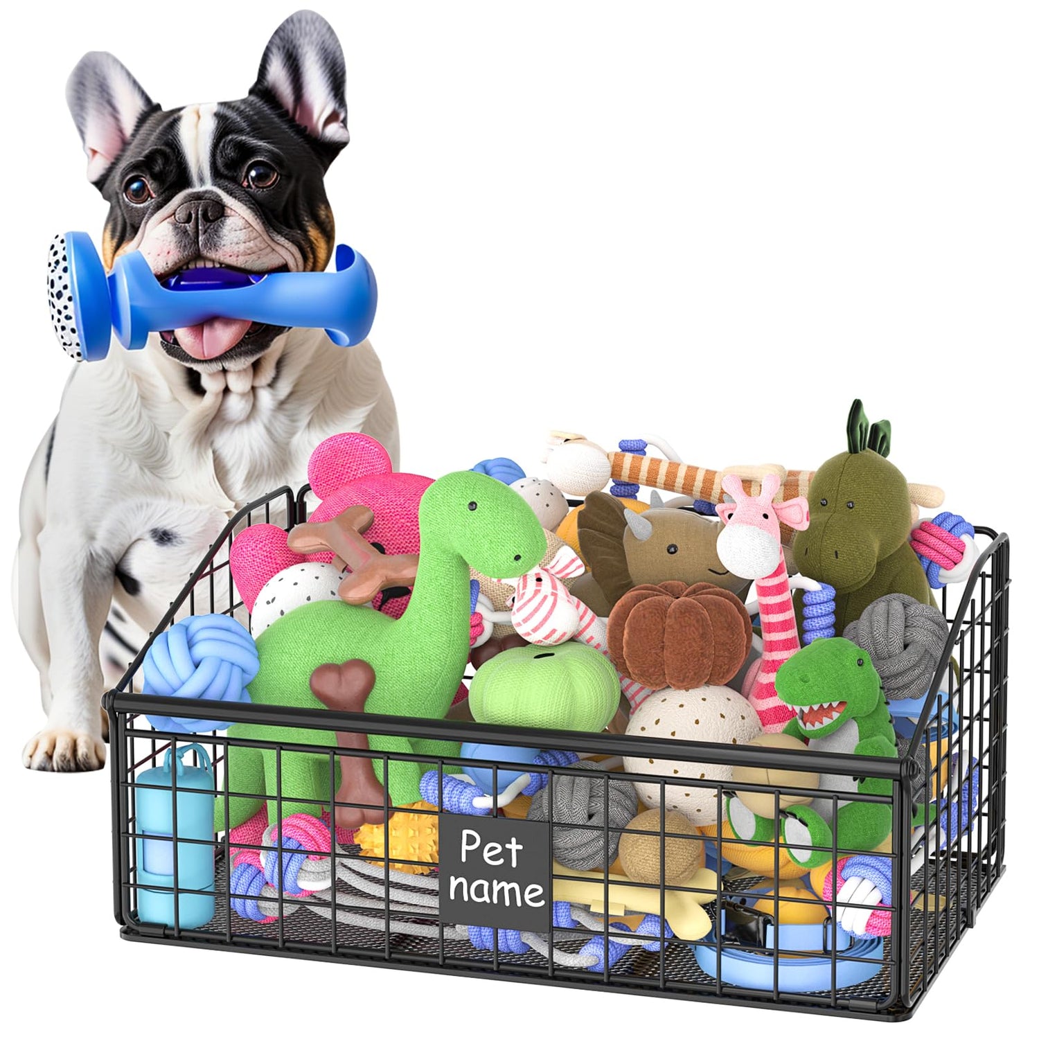 Pet Toys