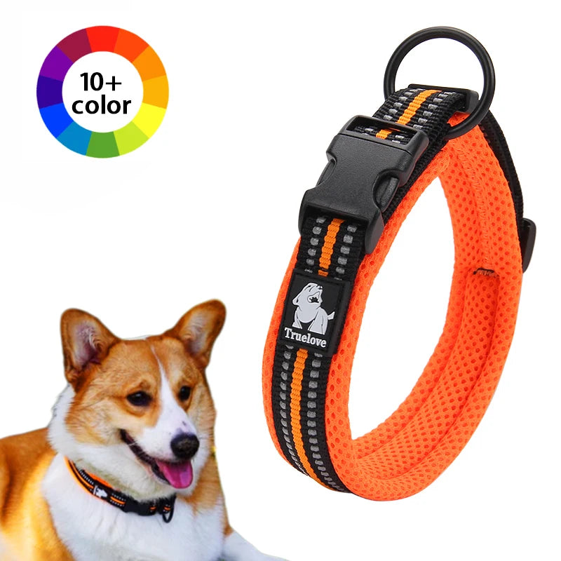 Winhyepet Dog Walking Collar Comfort Padded with Buckle Nylon Traveling Collar Tactical Dog Suplies 11 Colors Size XXS-XXXL
