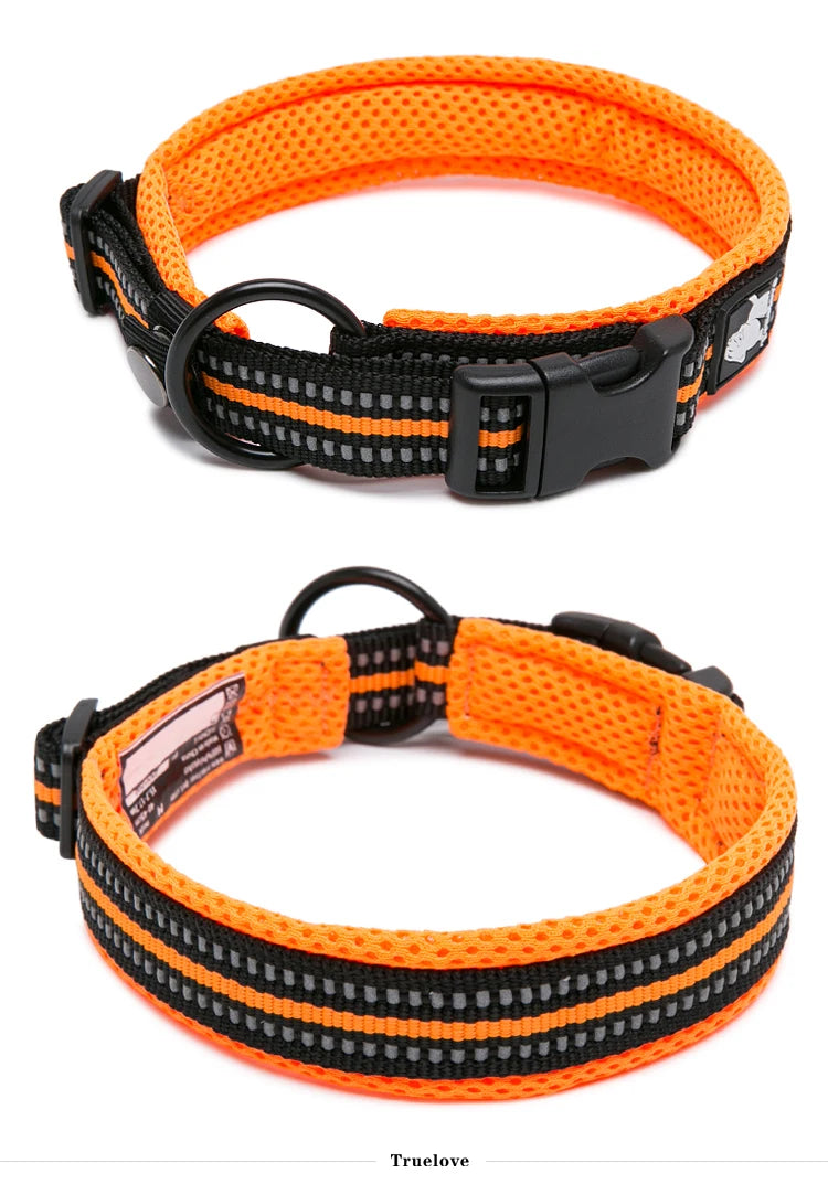 Winhyepet Dog Walking Collar Comfort Padded with Buckle Nylon Traveling Collar Tactical Dog Suplies 11 Colors Size XXS-XXXL