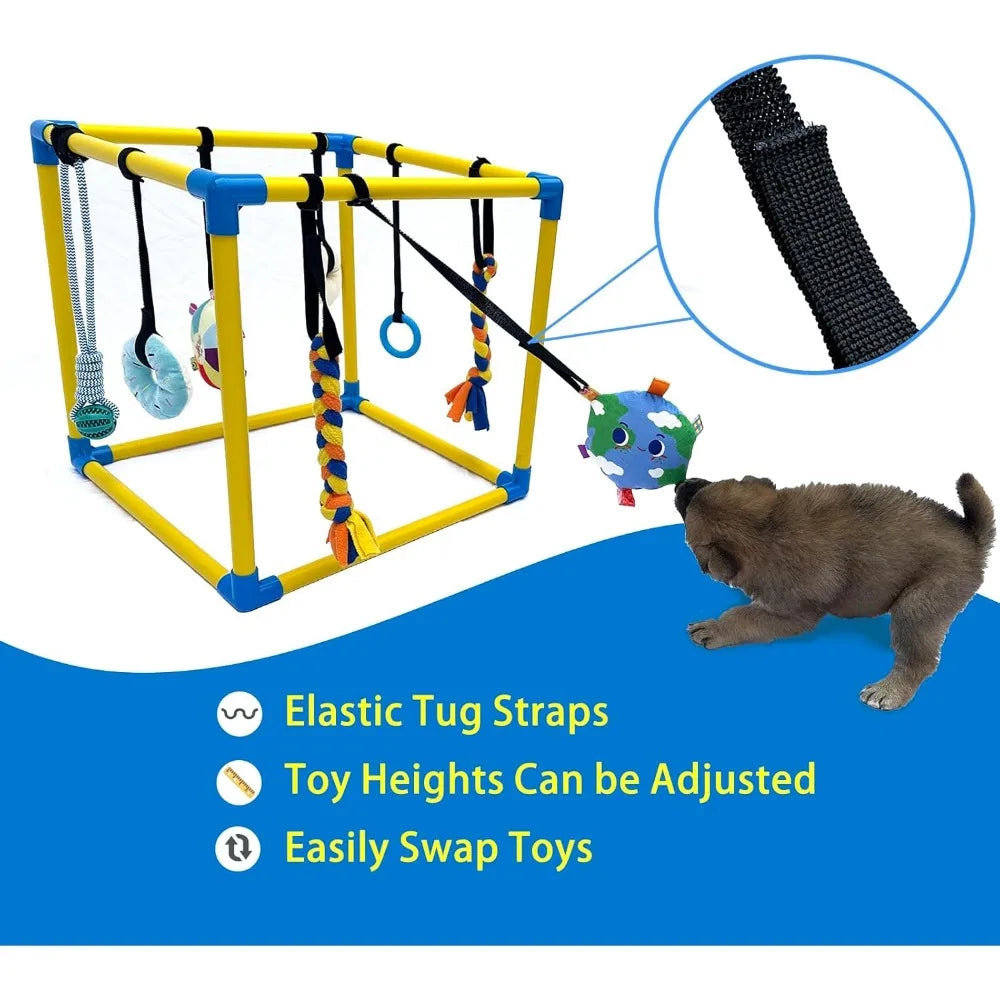 Dewonch Puppy Play Gym with 8 Hanging Toys, Small Dogs Indoor Jungle Gym, PVC Frame with Bungee Straps Enrichment Activity Cente